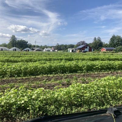 Soil, Plant, and Organic Methods PLUS Agro-Ecology Short Course